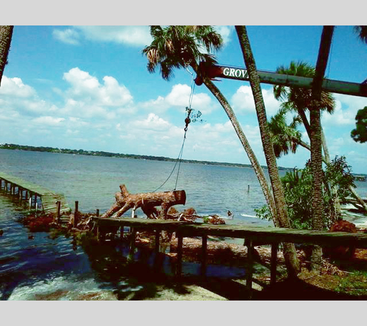 Portfolio Image